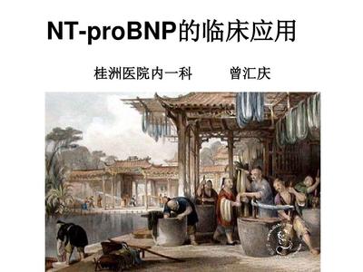 N末端B型钠尿肽前体的临床应用