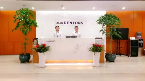 汇全国力量 筑大成之道——大成25周年境内分所篇